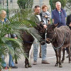 Warten auf die Palmprozession