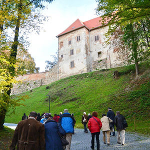 Schallaburg