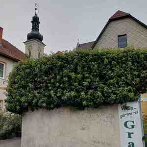 Unterloiben