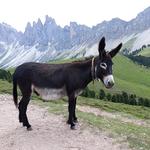 Wanderwoche in Neustift bei Brixen