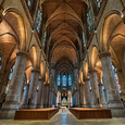 „Entwurzelung – die gefährlichste Krankheit“: Ausstellung im Linzer Mariendom