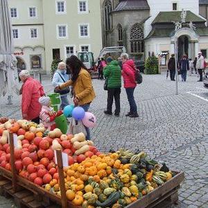 Wallfahrt Freistadt Waldburg Tragwein