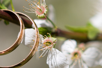 Hochzeit