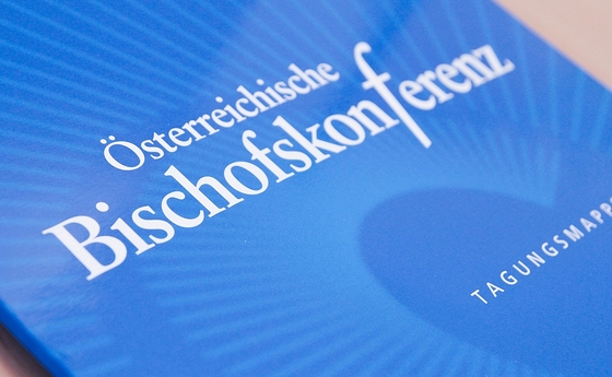 Die Vollversammlung der Bischofskonferenz wurde verkürzt.