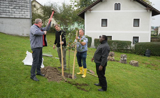 Im Pfarrhofgarten
