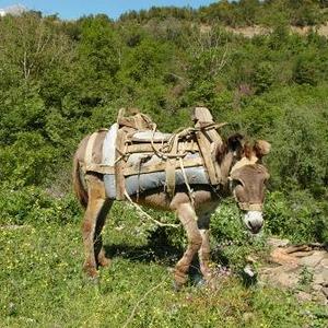 Albanien-Reise