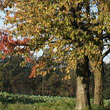 Pfarrgemeinde Rohr