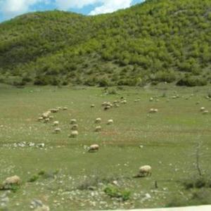Albanien-Reise