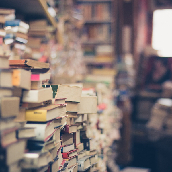 Bücher / © EliFrancis/pixabay.com/CC0 1.01 Bücher
