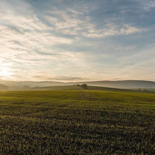 Landschaft / ©pixabay