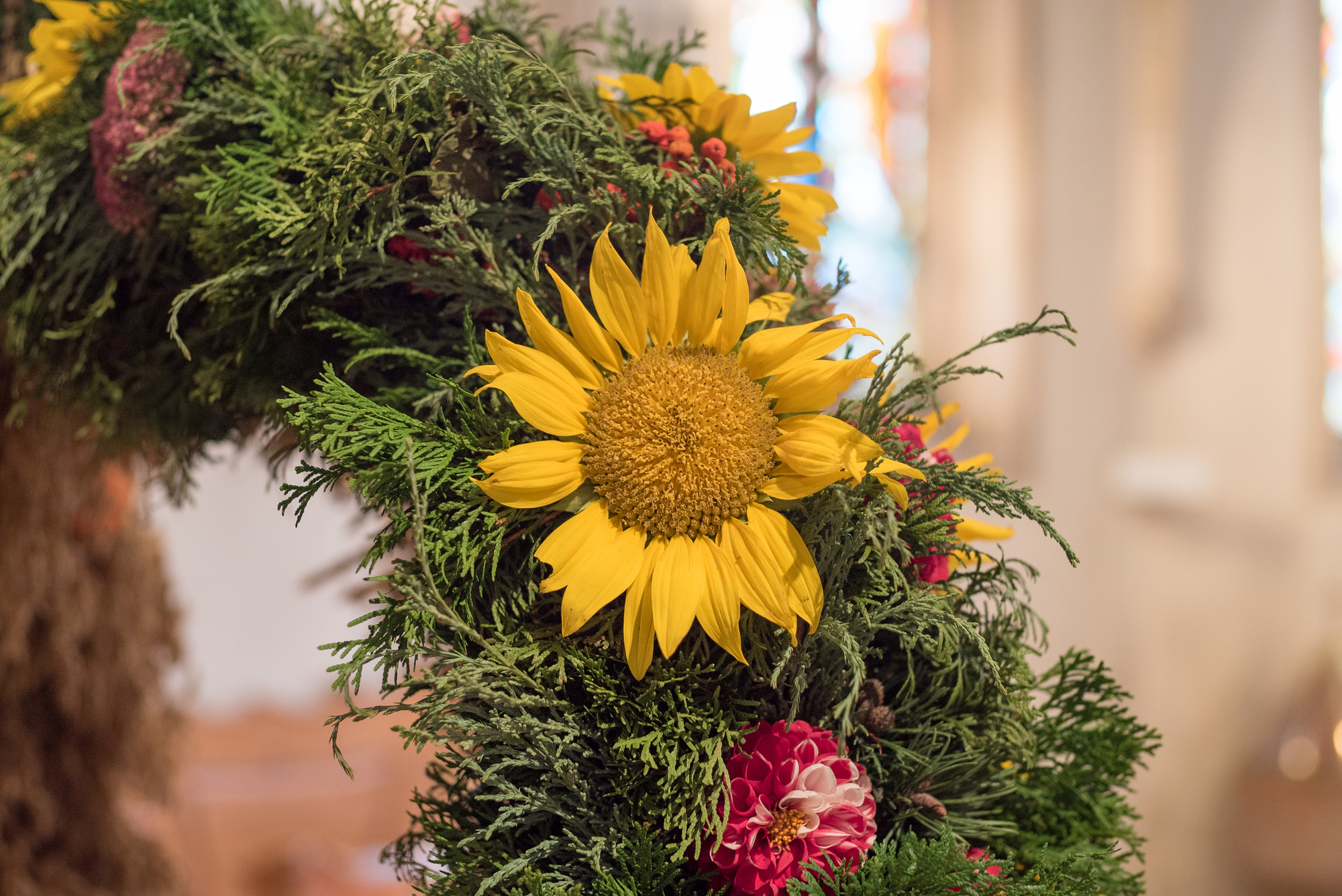 Sonnenblumen