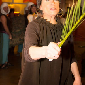 Pfarrball 2014