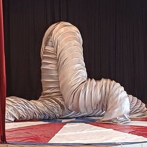 Circus Alfoni